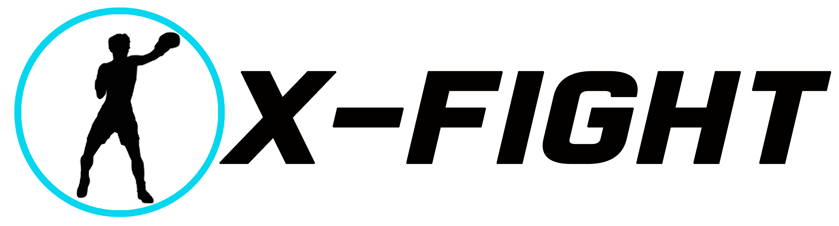 X-Fight